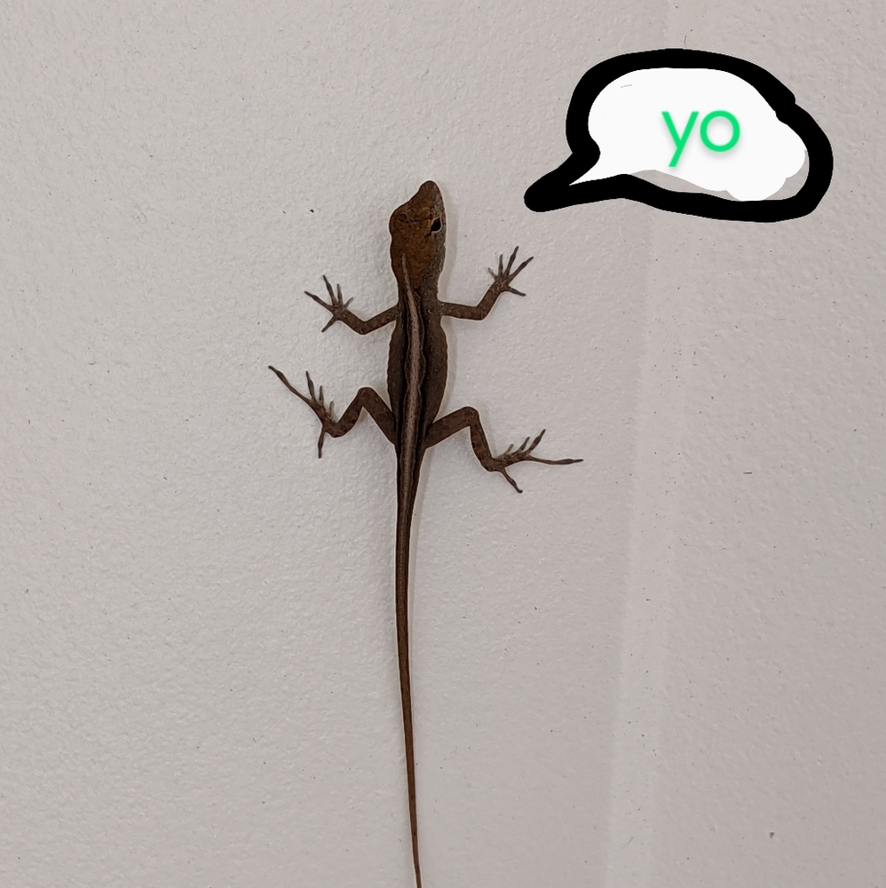 Meet your Posher, My Leg